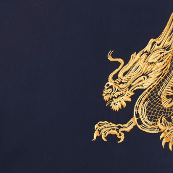 Camiseta de algodón con bordado The Year of the Dragon para hombre Azul marino estampado