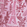 Bañador elástico con estampado Poulpes Eiffel para hombre Marshmallow 