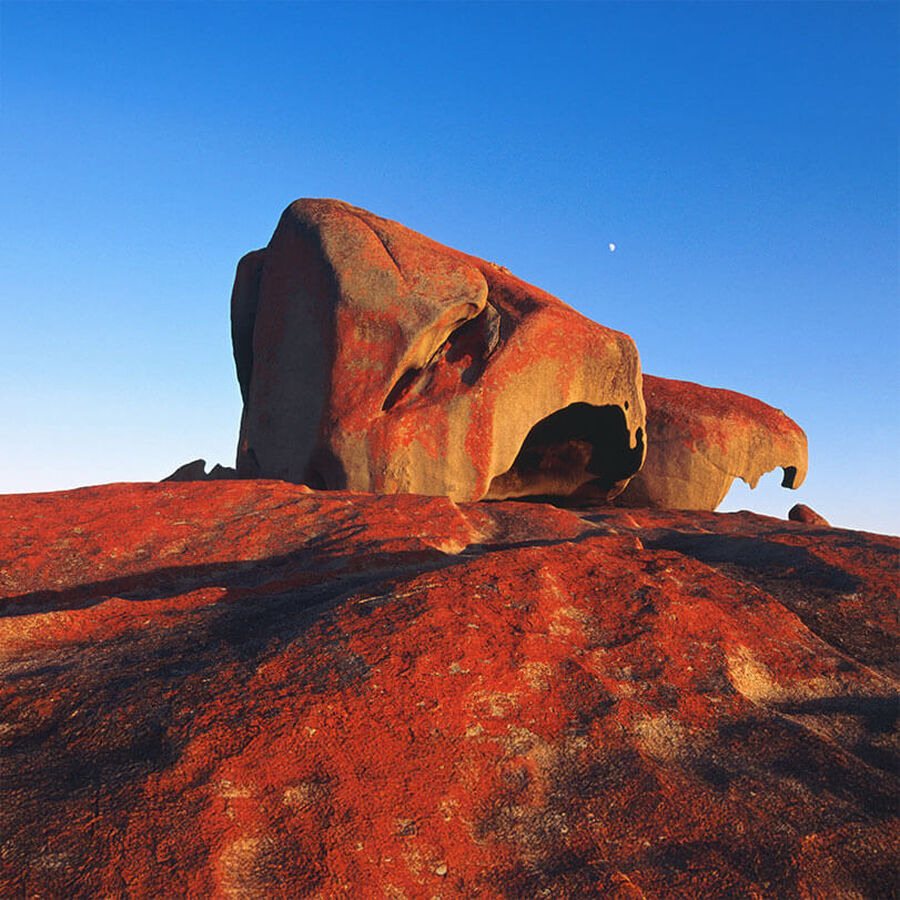 Vilebrequin - Kangaroo Island, Australia