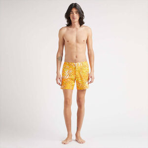 Vilebrequin short swim shorts for men