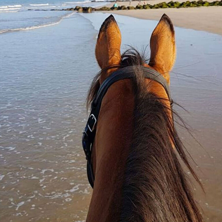 Deauville