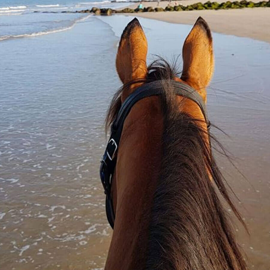 Deauville