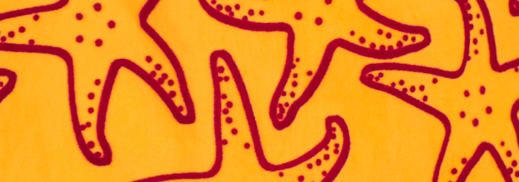 Bañador con estampado aterciopelado Starlettes para hombre Zanahoria estampado