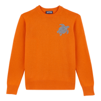 Men Wool and Cashmere Crewneck Sweater Turtle Carrot front view