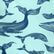 Pantaloncini mare uomo Whales Celadon 