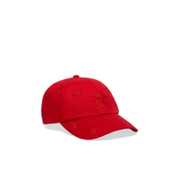 Cappellino con ricamo integrale Turtles Moulin rouge vista frontale