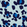 Kids Rashguard Turtles Leopard Thalassa 