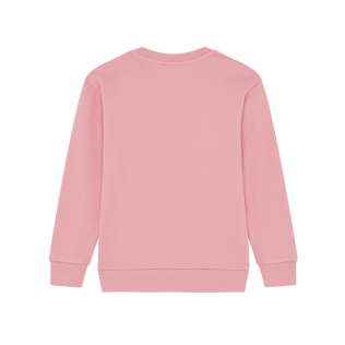 Kids Crewneck Sweatshirt Embroidered Turtle Boudoir back view
