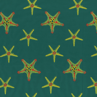 Men Swim Trunks Embroidered Starfish Dance - Limited Edition Linden print