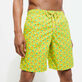 Costume da bagno uomo elasticizzato lungo Micro Tortues Rainbow Zenzero vista indossata posteriore