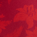 女士 Flower Power 侧系式比基尼泳裤 Lipstick 