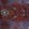 Costume da bagno uomo elasticizzato Red Gorgonians - Vilebrequin x 1Ocean Multicolore 