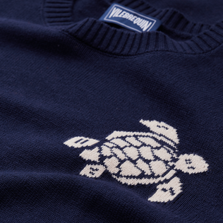 Men Crewneck Cotton Cashmere Sweater Turtle Ink details view 1