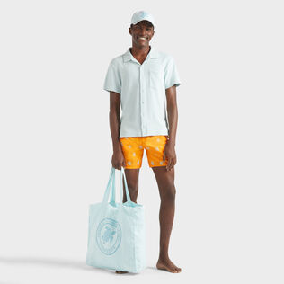 Pantaloncini mare uomo ricamati Micro Ronde des Tortues Diagonale - Edizione limitata Carota dettagli vista 1