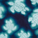 男童 Blurred Turtles 泳裤 Navy 