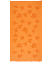 Jacquard turtles 富塔沙滩浴巾 Terracotta 正面图