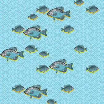 Men Swim Shorts Graphic Fish - Vilebrequin x La Samanna Lazulii blue 打印