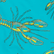 男士 Lobsters 刺绣泳裤 - 限量款 Curacao 