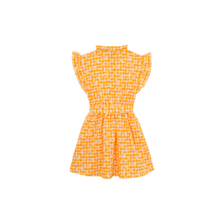 Girls Cotton Dress Turtle Vichy Mango back view