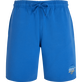 Men Bermuda Gradient Embroidered Logo - Vilebrequin x The Beach Boys Earthenware front view
