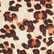 女士 Midi Brief Turtles Leopard 比基尼泳裤 Straw 