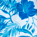 Maillot de bain bébé Tahiti Flowers Blanc 