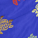 男士 Ronde Des Tortues 刺绣泳装 - 限量版 Purple blue 