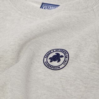 Sweat en coton col rond garçon uni Gris chine vue de détail 4