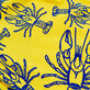 Bañador de tacto aterciopelado con estampado Lobster para hombre Mimosa detalles vista 4