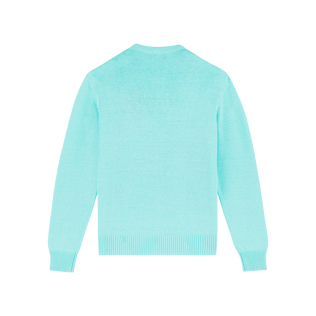 Men Crewneck Cotton and Cashmere Sweater Turtle Acqua back view