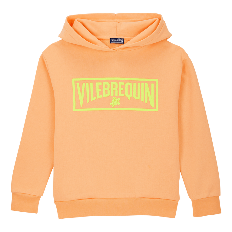 Sudadera Con Capucha Y Logotipo Bordado Para Niño - Sweatshirt - Gary - Naranja