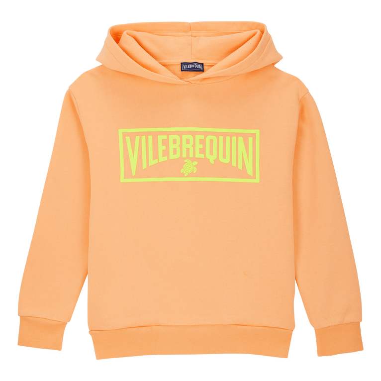 Boys 3d Print Logo Hoodie Sweatshirt - Sweater - Gary - Orange - Size 14 - Vilebrequin