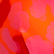 Women Halter Bikini Top New Leopard Apricot 