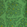 男士 2015 Inkshell 刺绣泳裤 - 限量版 Grass green 