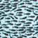 Gulf Stream Stretch-Badeshorts für Herren Thalassa 