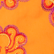 Men Swim Trunks Embroidered Poulpes Neon - Limited Edition Carrot 