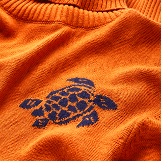 Pull col roulé en coton et cachemire homme uni Caramel vue de détail 1