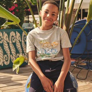 Camiseta de algodón orgánico con estampado Tahiti Turtles para niño Gris jaspeado vista frontal desgastada