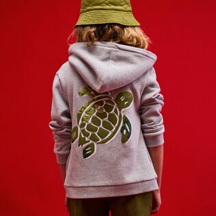 Boys Hooded Front Zip Sweatshirt Placed Embroidery Tortue Back Heather grey back worn view