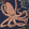 Maillot de bain homme brodé Octopussy - Édition Limitée Bleu marine 