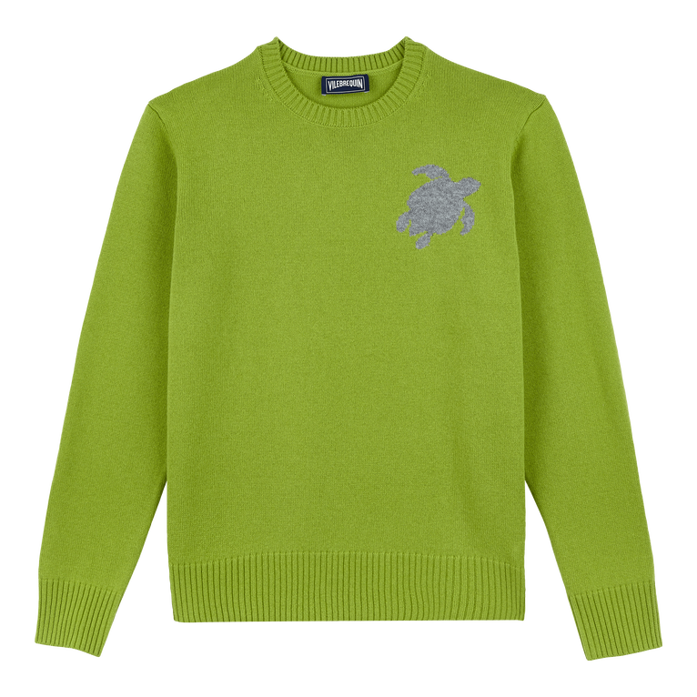 Men Wool And Cashmere Crewneck Sweater Turtle - Rayol - Green