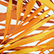 Men Swim Brief Palm Leaves Mango 