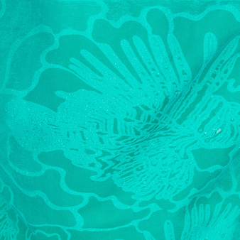 Maillot de bain garçon aquaréactif Rascasses Vert tropezien imprimé