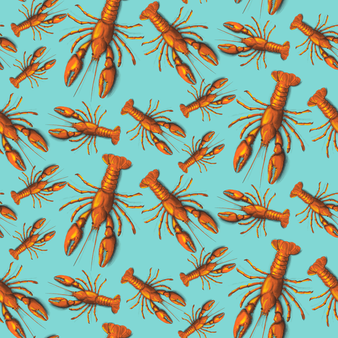 Men Stretch Swim Shorts Lobster, Lagoon print