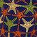 Men Swim Shorts Embroidered Stars - Limited Edition Midnight 