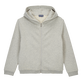 Boys Front Zip Sweatshirt Turtle print at the back Heather grey front view