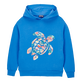 Boys Hoodie Sweatshirt Turtle printed Fonds Marins Multicolores Earthenware front view