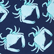男士 Only Crabs ! 泳裤 Navy 