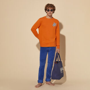 Men Wool and Cashmere Crewneck Sweater Turtle Carrot details view 1