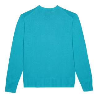 Men Cotton and Cashmere Crewneck Sweater Turtle Tropezian blue back view